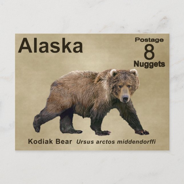 Kodiak Bear Postcard (Front)