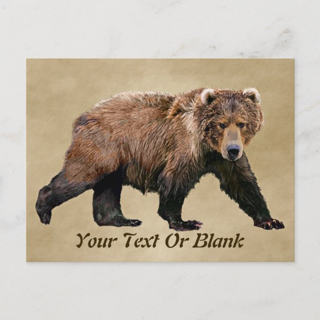 Kodiak Bear Postcard (Front)