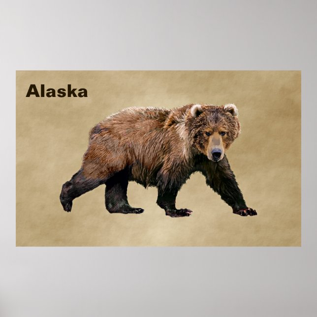 Kodiak Bear Poster (Front)