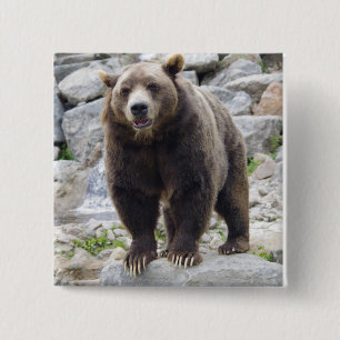 Kodiak Bear Standing on a Rock 15 Cm Square Badge