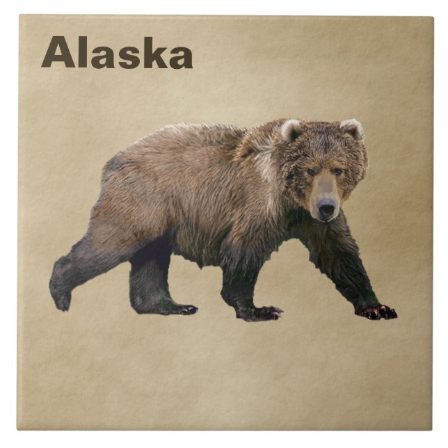 Kodiak Bear Tile (Front)