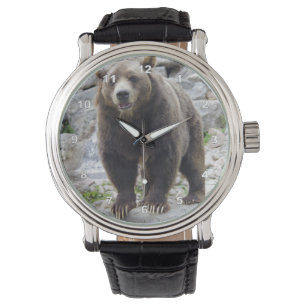 Kodiak Bear Watch
