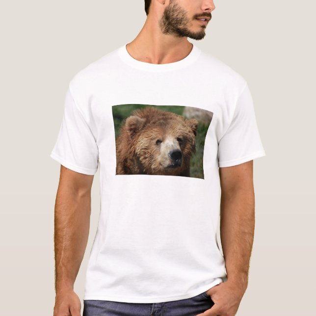 Kodiak Brown Bear Men's Shirt (Front)