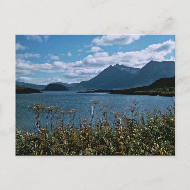 Kodiak National Wildlife Refuge Postcard (Front)