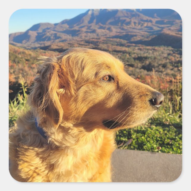 Kody Sticker (Front)