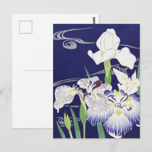 Kogyo Tsukioka Irises,Japanese Flower Art Postcard