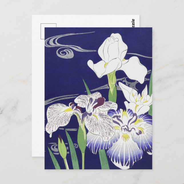 Kogyo Tsukioka Irises,Japanese Flower Art Postcard (Front/Back)