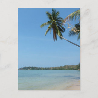 Koh Samui beach 3 Postcard