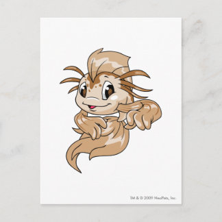 Koi Brown Postcard