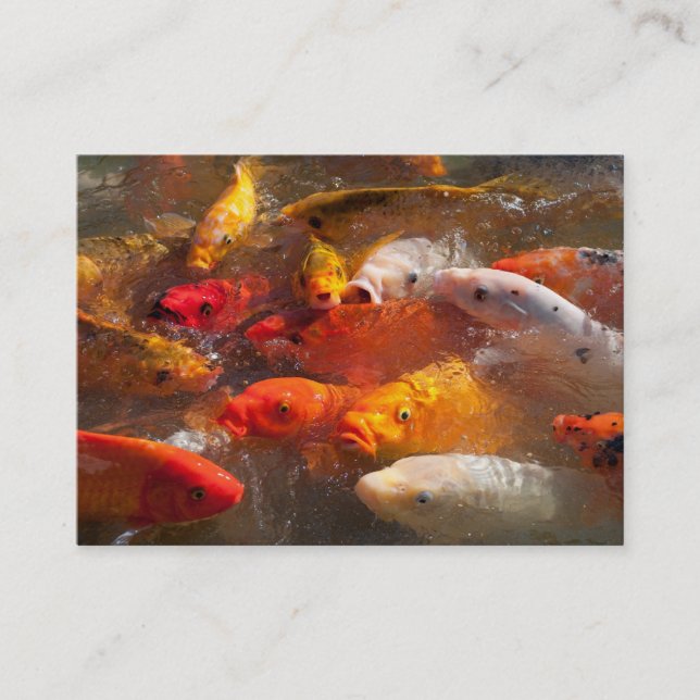 Koi Business Card (Front)