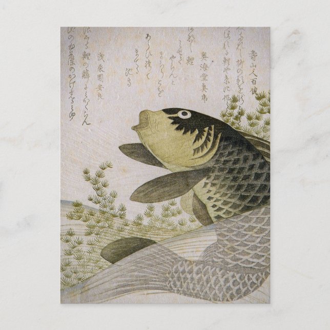 Koi Carp Among Pond Plants Ryuryukyo Shinsai Art Postcard (Front)
