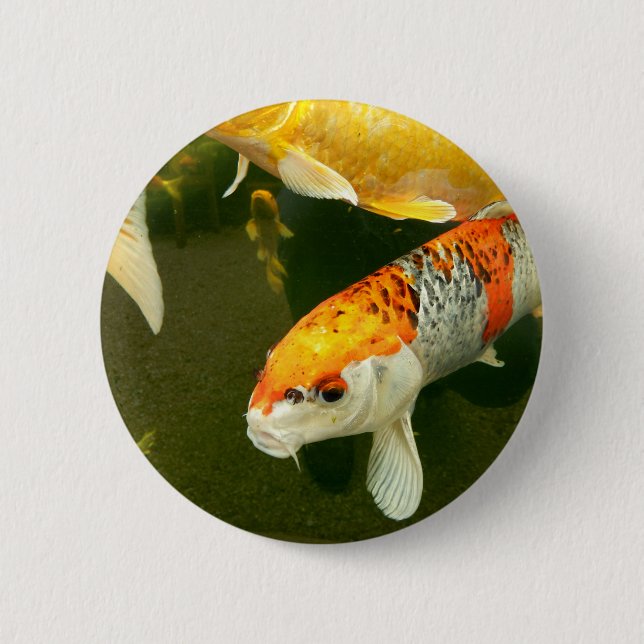 Koi Carp Badge (Front)