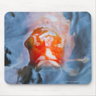 Koi Carp (Cyprinus carpio), Japan Mouse Mat