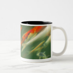 Koi carp fish swimming in a pond Two-Tone coffee mug