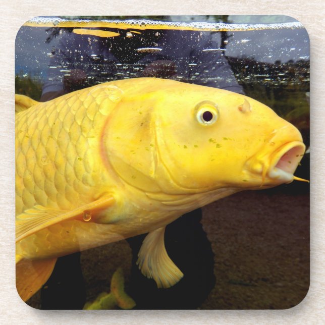 Koi Carp Hard Plastic Coaster (Front)