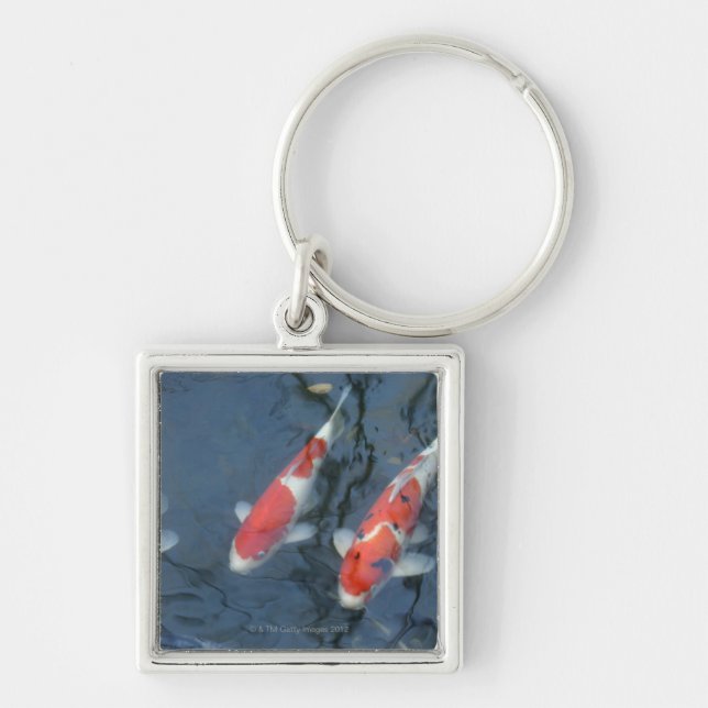 Koi carp in pond, high angle view key ring (Front)