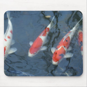 Koi carp in pond, high angle view mouse mat