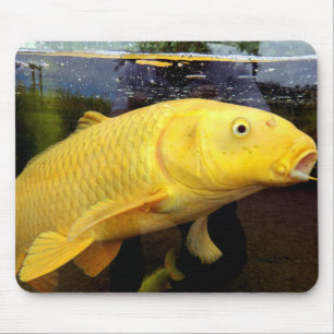 Koi Carp Mouse Mat