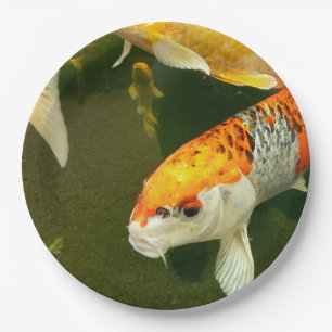 Koi Carp Paper Plate