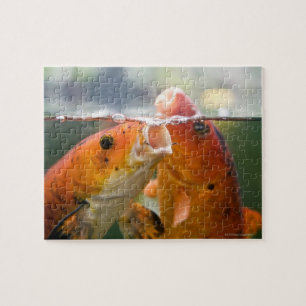 Koi carps jigsaw puzzle
