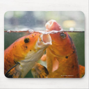 Koi carps mouse mat