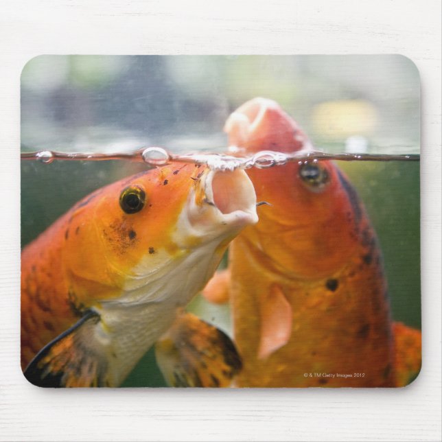 Koi carps mouse mat (Front)