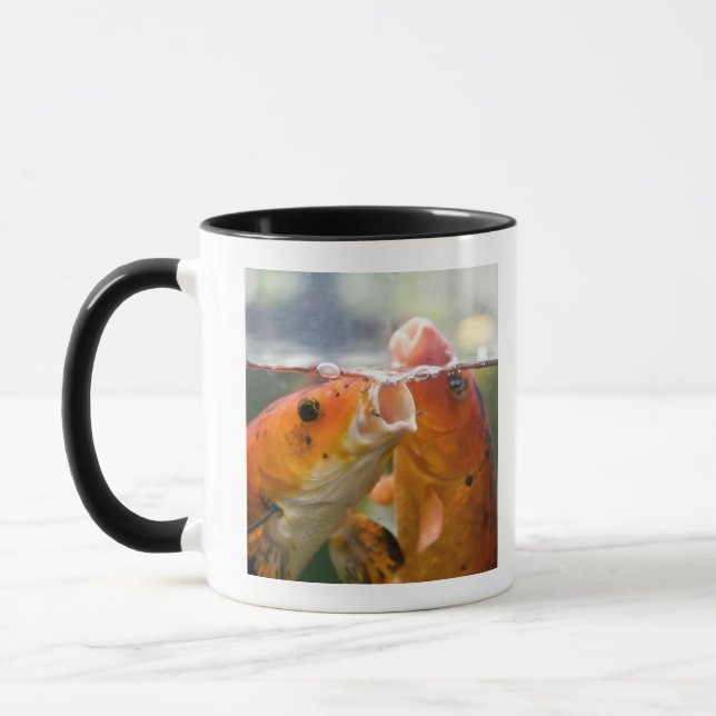 Koi carps mug (Left)