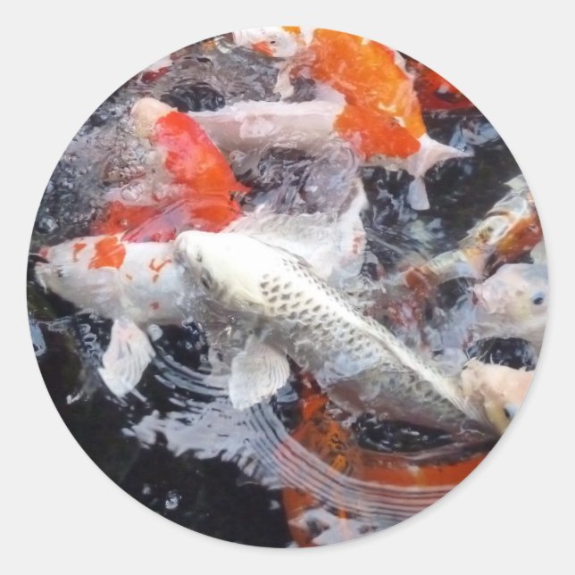Koi crowd classic round sticker (Front)