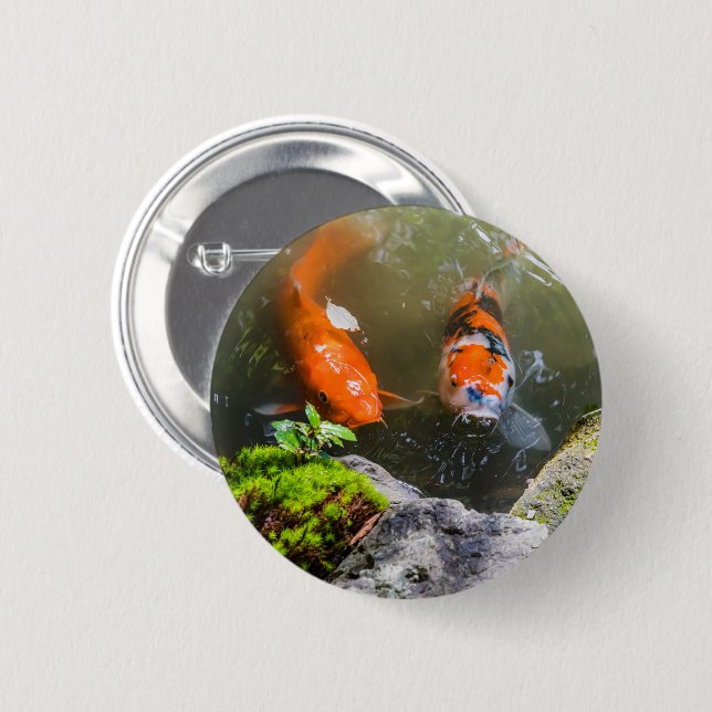 Koi fish in a pond 6 cm round badge (Front & Back)