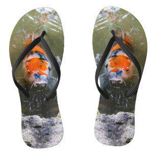 Koi fish in a pond flip flops