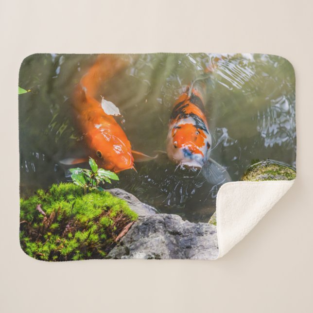 Koi fish in a pond sherpa blanket (Front (Horizontal))
