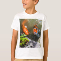 Koi fish in a pond