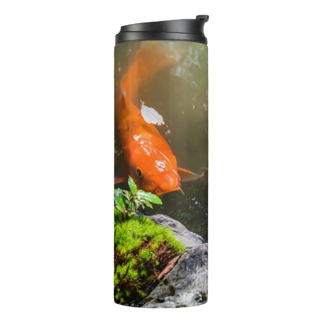 Koi fish in a pond thermal tumbler (Rotated Left)