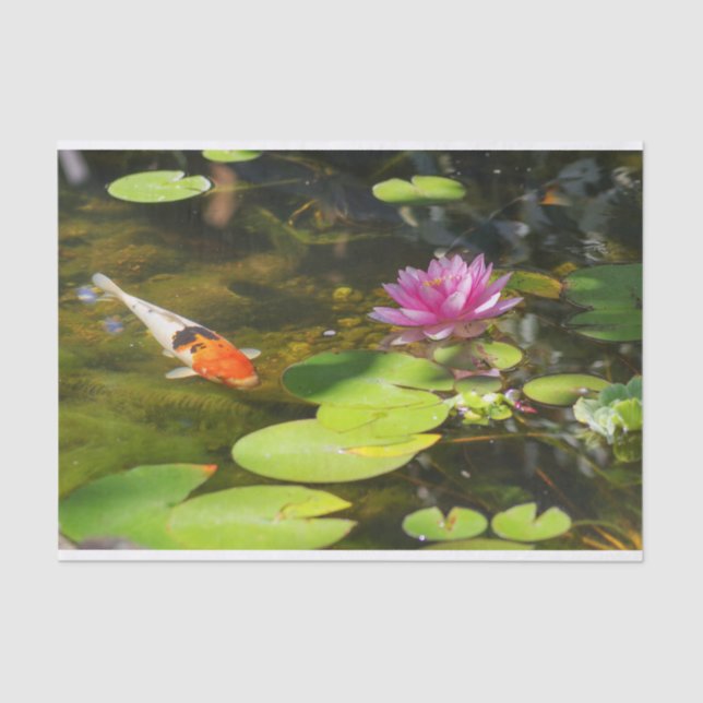 Koi Fish in the Water Lily Pond  Tissue Paper (Front)