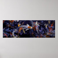 KOI FISH OVER FLOWING #2