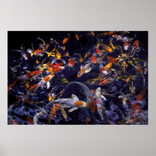KOI FISH OVER FLOWING POSTER