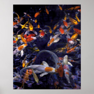 KOI FISH OVER FLOWING POSTER