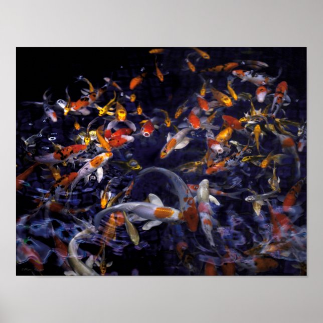 KOI FISH OVER FLOWING POSTER (Front)