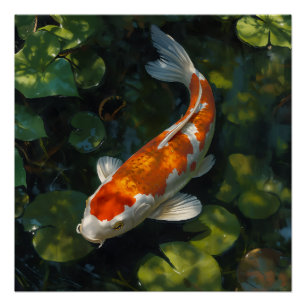 KOI FISH POSTER
