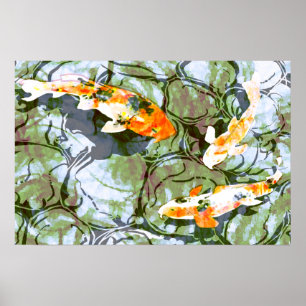 Koi Fish Poster Print