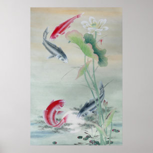 Koi Fish with Lotus Poster