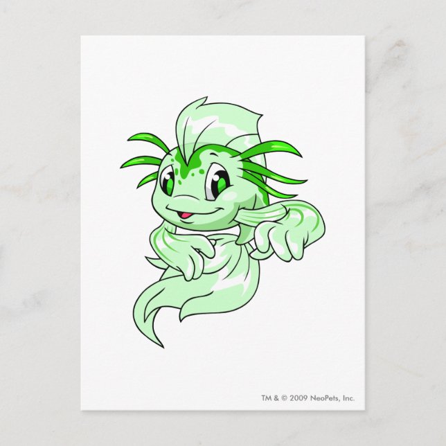 Koi Green Postcard (Front)
