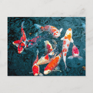 Koi in the Pond of Sensō-ji Postcard