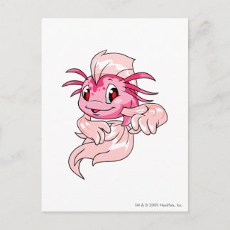 Koi Pink Postcard