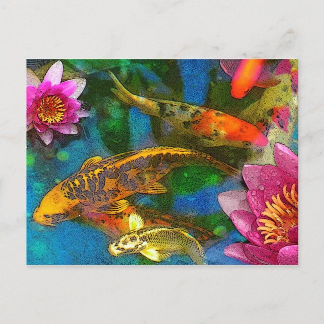 koi play , poscard postcard (Front)