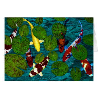 KOI POND