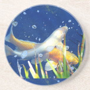 koi pond coasters
