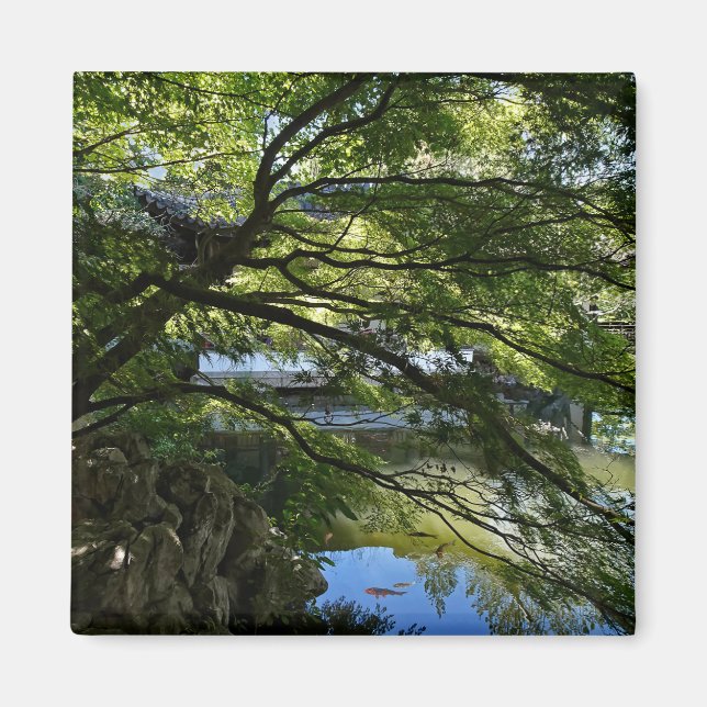 Koi Pond in Chinese Garden Magnet (Front)