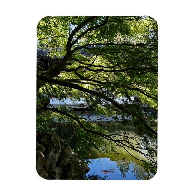 Koi Pond in Chinese Garden Magnet (Vertical)