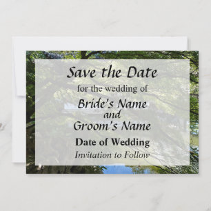 Koi Pond in Chinese Garden Save the Date